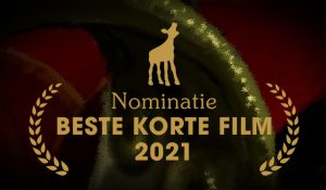 Nomination for the dutch Gouden Kalf